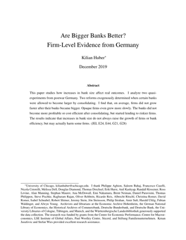 Are Bigger Banks Better? Firm-Level Evidence from Germany