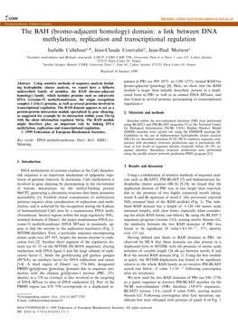 Domain: a Link Between DNA Methylation, Replication and Transcriptional Regulation