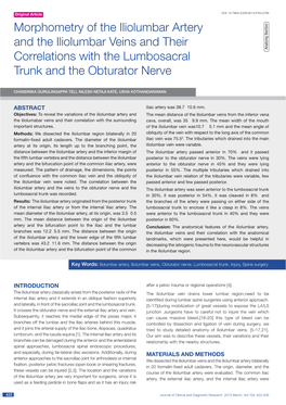 Morphometry of the Iliolumbar Artery and the Iliolumbar Veins and Their Correlations with the Lumbosacral Trunk and the Obturat