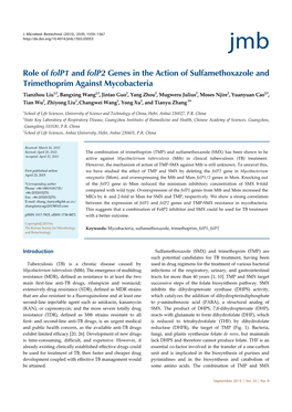 Role of Folp1 and Folp2 Genes in the Action of Sulfamethoxazole and Trimethoprim Against Mycobacteria