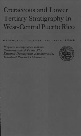 Cretaceous and Lower Tertiary Stratigraphy in West-Central Puerto Rico