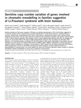 Germline Copy Number Variation of Genes Involved in Chromatin Remodelling in Families Suggestive of Li-Fraumeni Syndrome with Brain Tumours