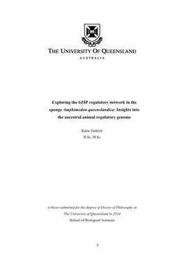Exploring the Bzip Regulatory Network in the Sponge Amphimedon Queenslandica: Insights Into the Ancestral Animal Regulatory Genome