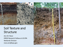 Soil Texture and Structure Ann M