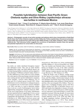 Possible Hybridization Between East Pacific Green Chelonia Mydas and Olive Ridley Lepidochelys Olivacea Sea Turtles in Northwest Mexico