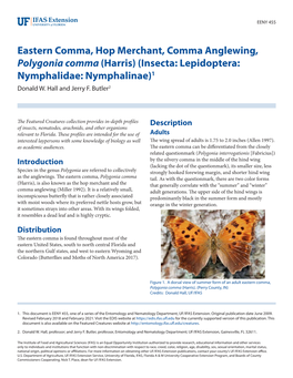 Eastern Comma, Hop Merchant, Comma Anglewing, Polygonia Comma (Harris) (Insecta: Lepidoptera: Nymphalidae: Nymphalinae)1 Donald W