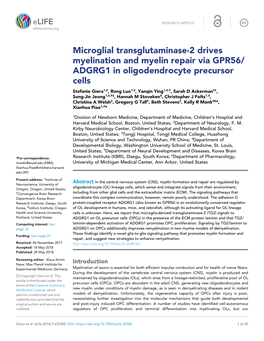 ADGRG1 in Oligodendrocyte Precursor Cells