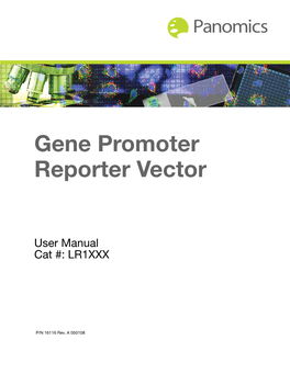 Gene Promoter Reporter Vector