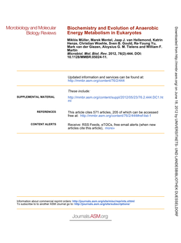 Energy Metabolism in Eukaryotes Biochemistry and Evolution Of