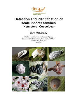 App 1 Guide to Scale Insect Families