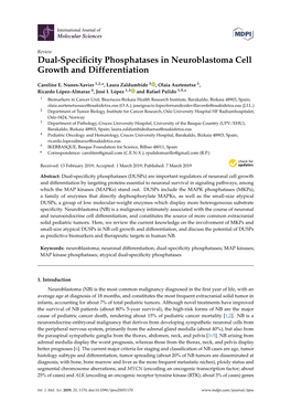 Dual-Specificity Phosphatases in Neuroblastoma Cell Growth and Differentiation