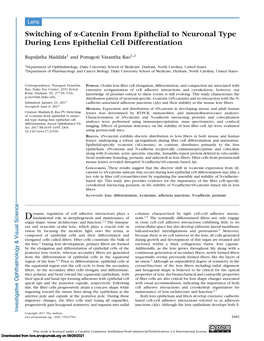 Switching of A-Catenin from Epithelial to Neuronal Type During Lens Epithelial Cell Differentiation