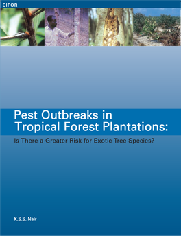 Pest Outbreaks in Tropical Forest Plantations