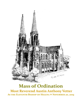 Mass of Ordination