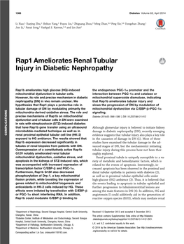 Rap1 Ameliorates Renal Tubular Injury in Diabetic Nephropathy