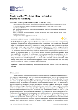 Study on the Wellbore Flow for Carbon Dioxide Fracturing