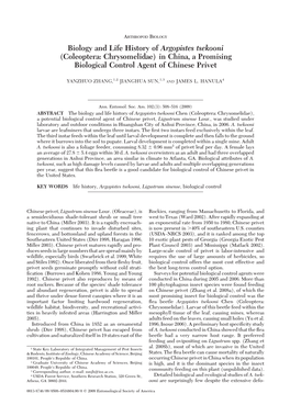 Biology and Life History of Argopistes Tsekooni (Coleoptera: Chrysomelidae) in China, a Promising Biological Control Agent of Chinese Privet