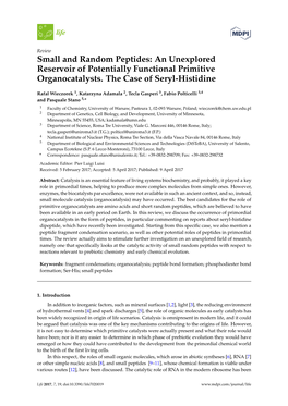 Small and Random Peptides: an Unexplored Reservoir of Potentially Functional Primitive Organocatalysts