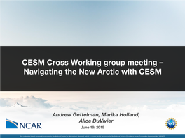 Navigating the New Arctic with CESM
