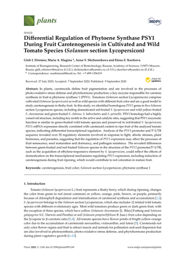 Differential Regulation of Phytoene Synthase PSY1 During Fruit