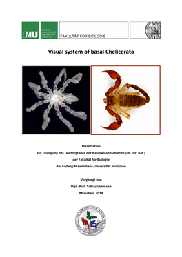 Visual System of Basal Chelicerata