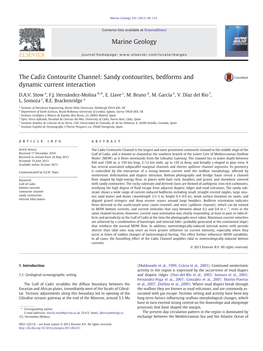 The Cadiz Contourite Channel: Sandy Contourites, Bedforms and Dynamic Current Interaction