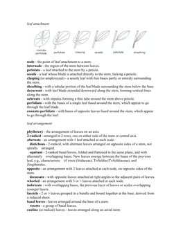 Leaf Attachment and Arrangement Vocab