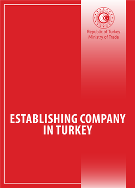 Establishing Company in Turkey