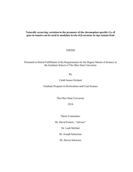 Naturally Occurring Variation in the Promoter of the Chromoplast-Specific Cyc-B Gene in Tomato Can Be Used to Modulate Levels of Β-Carotene in Ripe Tomato Fruit