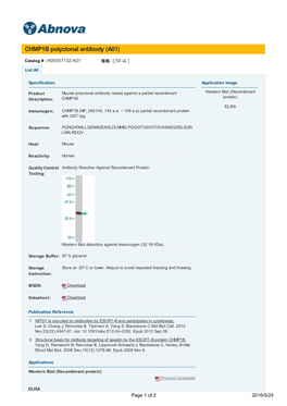 CHMP1B Polyclonal Antibody (A01)