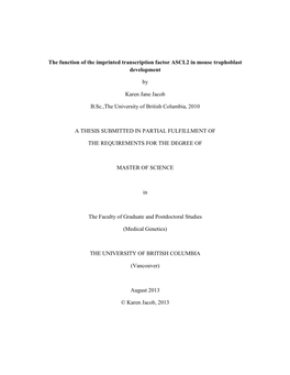 The Function of the Imprinted Transcription Factor ASCL2 in Mouse Trophoblast Development