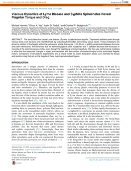 Viscous Dynamics of Lyme Disease and Syphilis Spirochetes Reveal Flagellar Torque and Drag