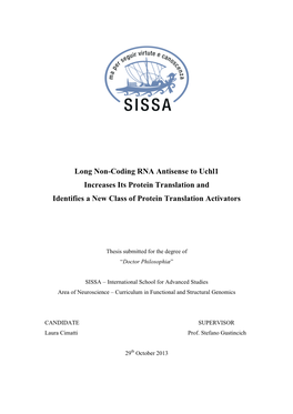 Long Non-Coding RNA Antisense to Uchl1 Increases Its Protein Translation and Identifies a New Class of Protein Translation Activators