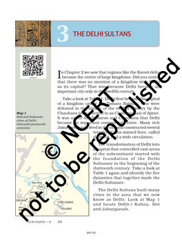 The Delhi Sultans
