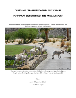 California Department of Fish and Wildlife Peninsular Bighorn Sheep Annual Report 2015
