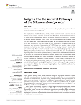 Insights Into the Antiviral Pathways of the Silkworm Bombyx Mori