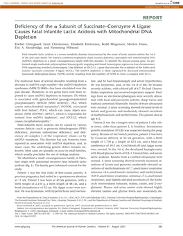 REPORT Deficiency of the a Subunit of Succinate–Coenzyme a Ligase