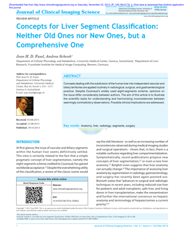 Concepts for Liver Segment Classification: Neither Old Ones Nor New Ones, but a Comprehensive One