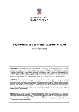 Mitochondrial and Cell Cycle Functions of SLIMP