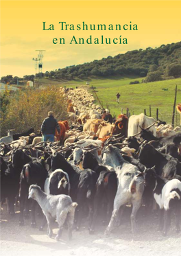 La Trashumancia En Andalucía Indice