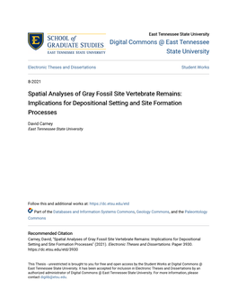 Spatial Analyses of Gray Fossil Site Vertebrate Remains: Implications for Depositional Setting and Site Formation Processes