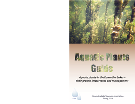 Aquatic Plants in the Kawartha Lakes – Their Growth, Importance and Management