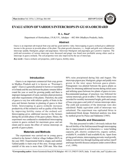 Evaluation of Various Intercrops in Guava Orchard