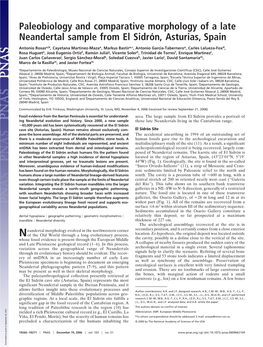 Paleobiology and Comparative Morphology of a Late Neandertal Sample from El Sidro´N, Asturias, Spain