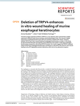 Deletion of TRPV4 Enhances in Vitro Wound Healing of Murine Esophageal Keratinocytes Ammar Boudaka1,2*, Claire T