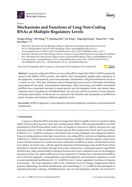 Mechanisms and Functions of Long Non-Coding Rnas at Multiple Regulatory Levels