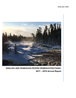 ENGLISH and WABIGOON RIVERS REMEDIATION PANEL 2017 – 2018 Annual Report English and Wabigoon Rivers Remediation Panel 2017-2018 Annual Report