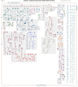 Generate Metabolic Map Poster