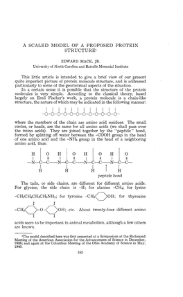 A Scaled Model of a Proposed Protein Structure1