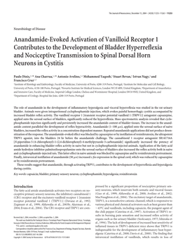 Anandamide-Evoked Activation of Vanilloid Receptor 1 Contributes To